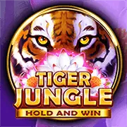 Máy đánh bạc Jackpot lũy tiến